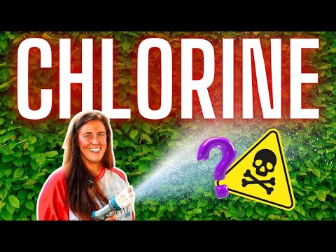 Does Tap Water Harm Your Plants? Does Chlorine Harm Microbes?