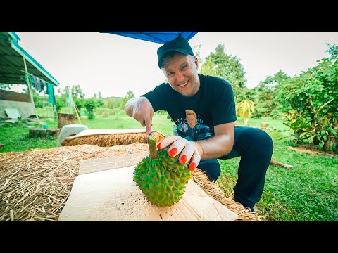 FARANG and DURIAN / Hua Hin Hidden Gems / Thailand Motorcycle Tour 2021