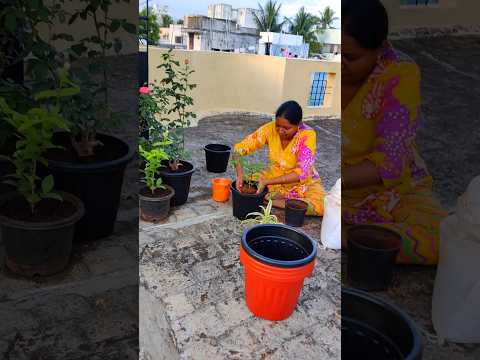 இது என்ன பொழப்பு #minivlog #vlog #momroutine #food #homemaker #trendingshorts #trendingreels