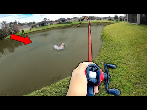 I Caught the BIGGEST Bass of my Life!! (NEW PB)