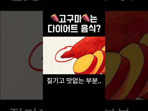 고구마는 다이어트 식품? 고구마의 진실