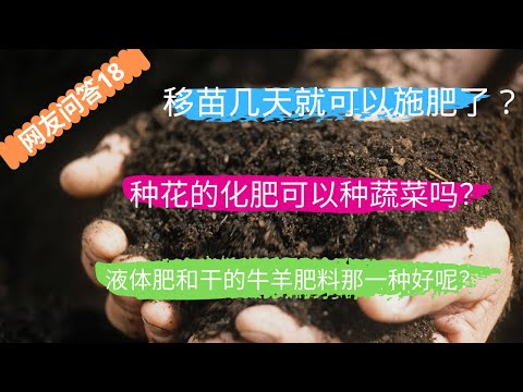 网友问答18：什么时候施底肥？液体肥和牛羊粪肥哪个好？