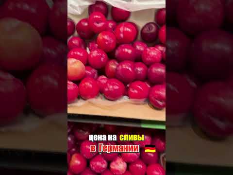 Сколько стоят сливы в Германии? Цена на сливы магазин REWE