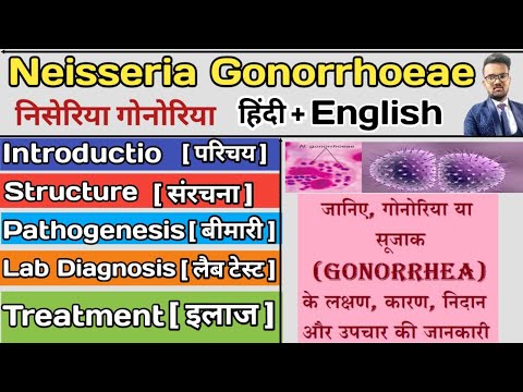 Neisseria Gonorrhoeae Microbiology | Neisseria Gonorrhoeae in hindi | Bacteria notes microbiology