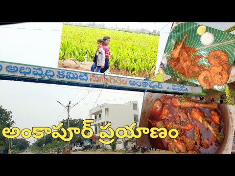 అంకాపూర్ ప్రయాణం part1#Vasanthatelugukitchen