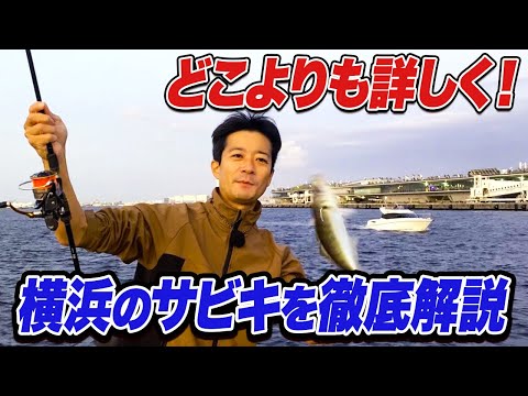 【サビキ釣り講座 -赤レンガ倉庫編-】横浜のサビキを徹底解説！カゴの種類や位置で釣れる魚が激変する理由と超お薦め仕掛け紹介