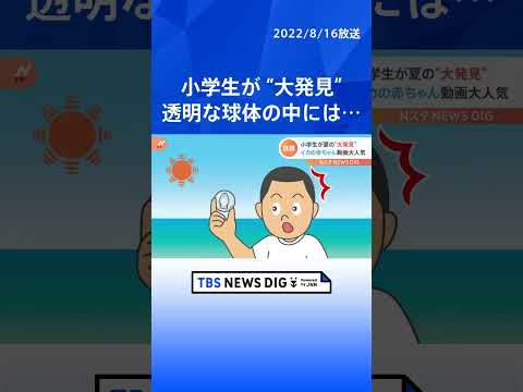 「お父さんに報告だ！」450万回以上再生。男の子が見つけた球体の中にいたのは小さな“ある生き物”｜TBS NEWS DIG #shorts