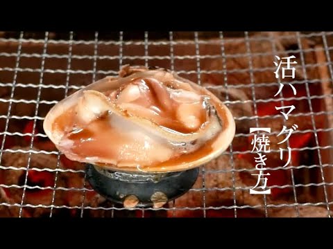 活ハマグリの焼き方【飯テロ】