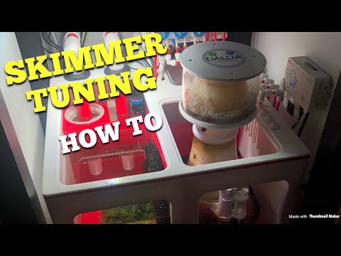 Skimmer Tuning 101