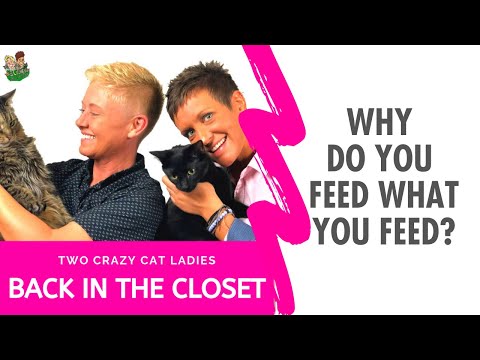 What Do You Feed Your Cats And WHY? | Two Crazy Cat Ladies