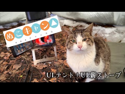 【タッソUL】ついに始まった本格雪中キャンプにぬこが参戦