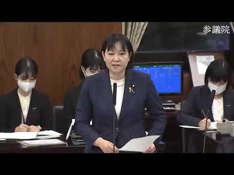 岸真紀子　参議院・地方創生及びデジタル社会の形成などに関する特別委員会 　20231129