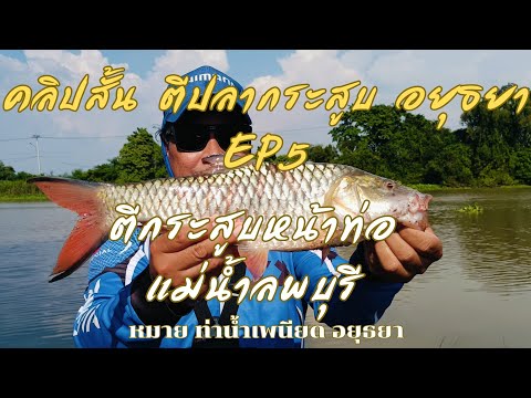 คลิปสั้น ตีปลากระสูบอยุธยา EP.5 ตีปลากระสูบหน้าท่อแม่น้ำลพบุรี หมายท่าน้ำเพนียด อยุธยา