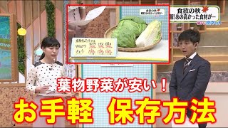 【葉物野菜が安い！お手軽 保存方法】空ネット（１１月４日放送）