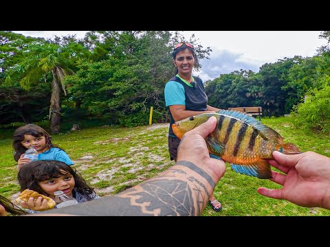 PESCAMOS uma TILÁPIA com Roupa de TUCUNARÉ