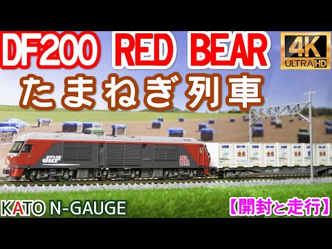 KATO DF200(7007-3)と朗堂 北海道オホーツクコンテナの開封と走行【常紋峠】【石北本線】【たまねぎ列車】【Nゲージ】【鉄道模型】【貨物列車】