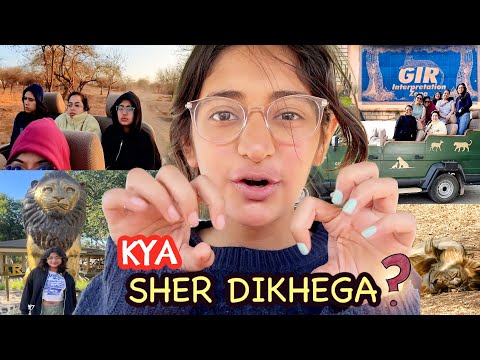 Jungle Safari - MY FIRST EXPERINCE | Gir National Park |  🦁Lion Dekha