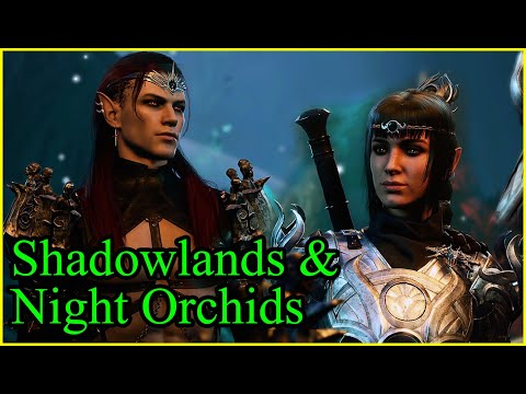 Shadowlands & Night Orchids | Episode 19 | Dark Urge Shadowheart Run | Baldur's Gate 3