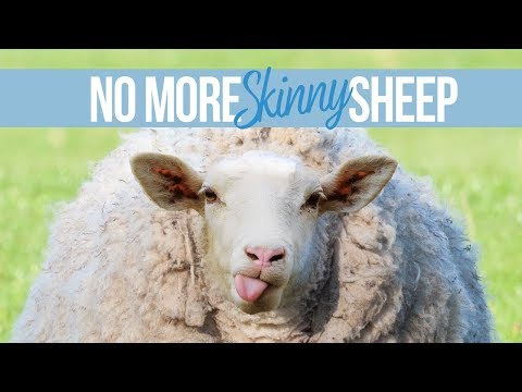 No More Skinny Sheep - Full Video