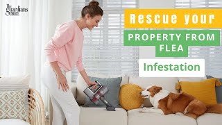 Your Flea-Free Home Awaits: How To Kill Fleas In Your Home!