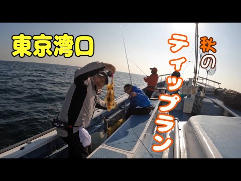 【アオリイカ】三浦から東京湾へティップランエギング！