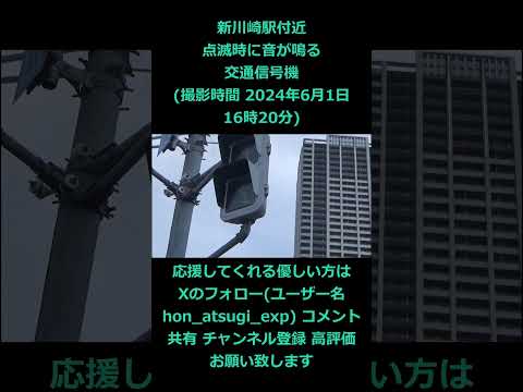 新川崎駅付近 点滅時に音が鳴る交通信号機 (撮影時間 2024年6月1日16時20分) #信号 #新川崎 #信号機