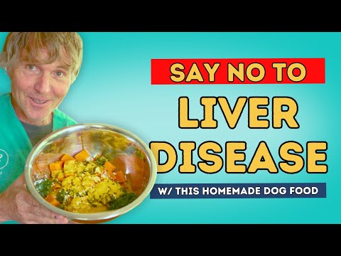 Best Homemade Dog Food Recipe for Dogs with Liver Disease