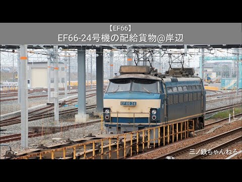 【EF66】 EF66-24号機牽引の配給貨物@岸辺（2011年）