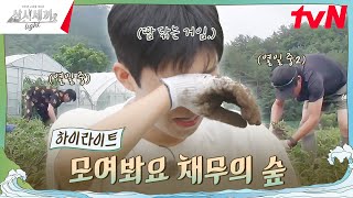 영웅 씨 우선 들어봐ㅎ 우리한테 채무가 있는데... #highlight #삼시세끼Light EP.2