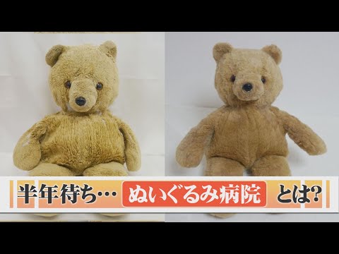 半年～1年待ちは当たり前！「ぬいぐるみ病院」入院体験記