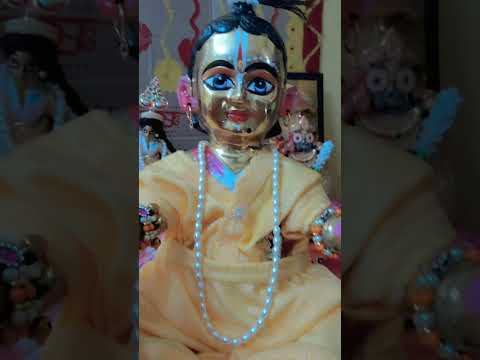 my Frist mini vlog #laddugopal #minivlog #10nolala