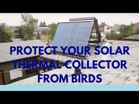 Protect Your Solar Thermal Collector From Birds