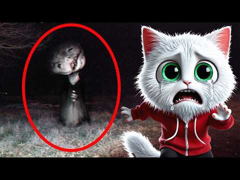 The Shocking Truth About DARK | Story Of Little CAT