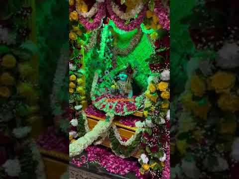 आज पूरे ब्रज में आनंद प्रकट हुआ है 🌺#shreekrishnajanmashtami #shorts #janmastami_4k_status_2024