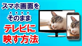 誰でも簡単！スマホとテレビを繋ぐ方法「ミラーリング」に必要なアイテムと有線・無線での接続方法を完全解説