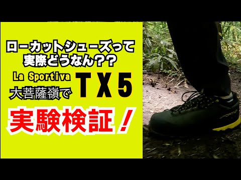 【TX-5】危険！登山初心者におすすめできないLaSportiva TX5ローカット大菩薩嶺で検証