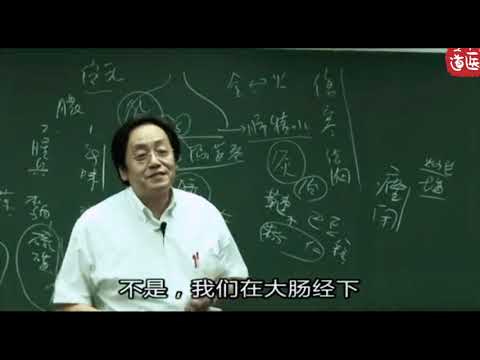 人纪 《针灸33 字幕版》 倪海厦（DVD原版） mp4