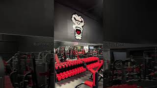 Gym review of Iron Sanctuary Gym in Long Island. Full ver on IG @huntergreyfit #gym #gymreview