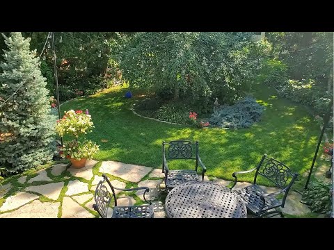 Creating an Enchanted Back-Yard Garden - From Planning to Maturity