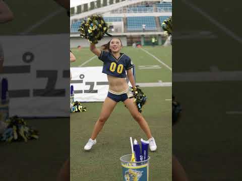 2024/09 All Mitsubishi Lions Cheerleaders #cheerleader