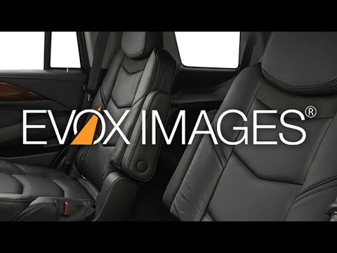 EVOX Images