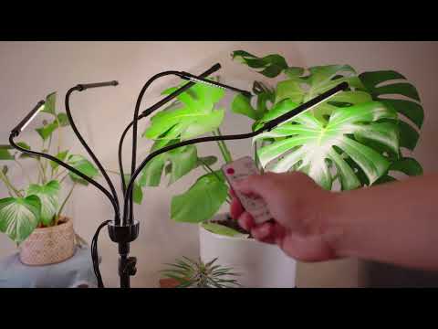 Setting Up Indoor Plant Grow Light for My Monstera | LED Plant Grow Light Unboxing & Review