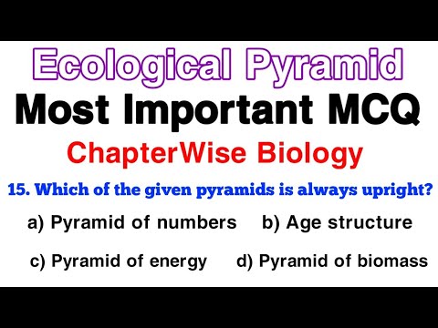 Ecological Pyramids MCQ - Ecosystem MCQ- NEET 2024 Preparation