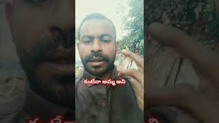 కంటేనే అమ్మ అని అంటే ఎలా | S P Balasubramanyam | ks chitra