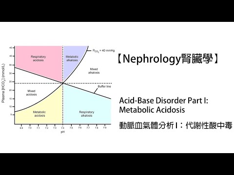 【Nephrology腎臟學】Acid-Base Disorder Part 1: Metabolic Acidosis動脈血氣體分析I：代謝性酸中毒