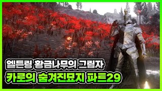 엘든링 황금나무의 그림자 DLC 공략 카로의 숨겨진묘지 편 파트29