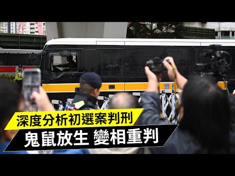 深度分析初選案判刑｜鬼鼠放生 變相重判  20241119