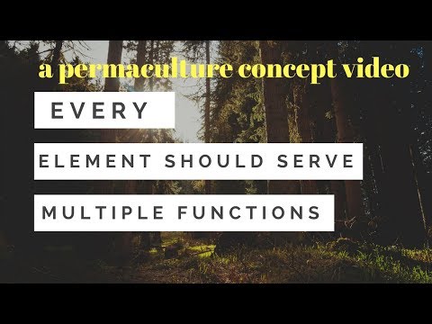 Every Element Should Serve Multiple Functions - A permaculture concepts video