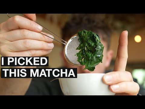 Handpicked Matcha is more Rare than You Think