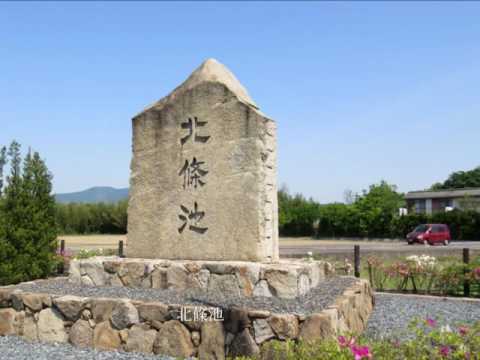 ことでん駅周辺シリーズ 45＜琴平線 綾川駅＞